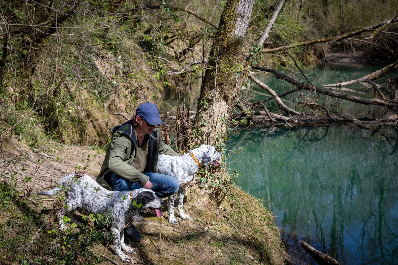 Dresirani pas za truffle hunting u šumi